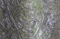 Auchmuty fibreglass roof work